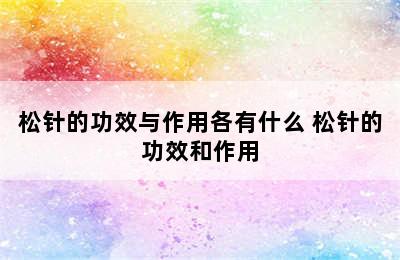 松针的功效与作用各有什么 松针的功效和作用